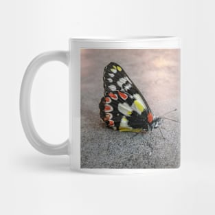 Colours Mug